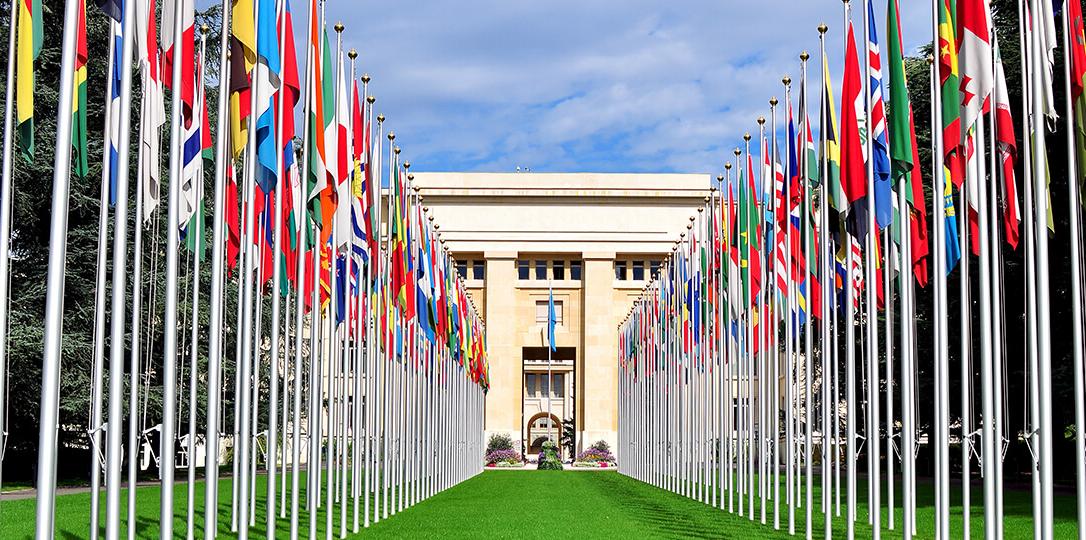 The avenue of flags leading to the building